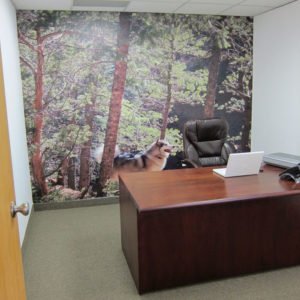 Custom Printed Wallpaper Installed in Offices in Westminster, CO