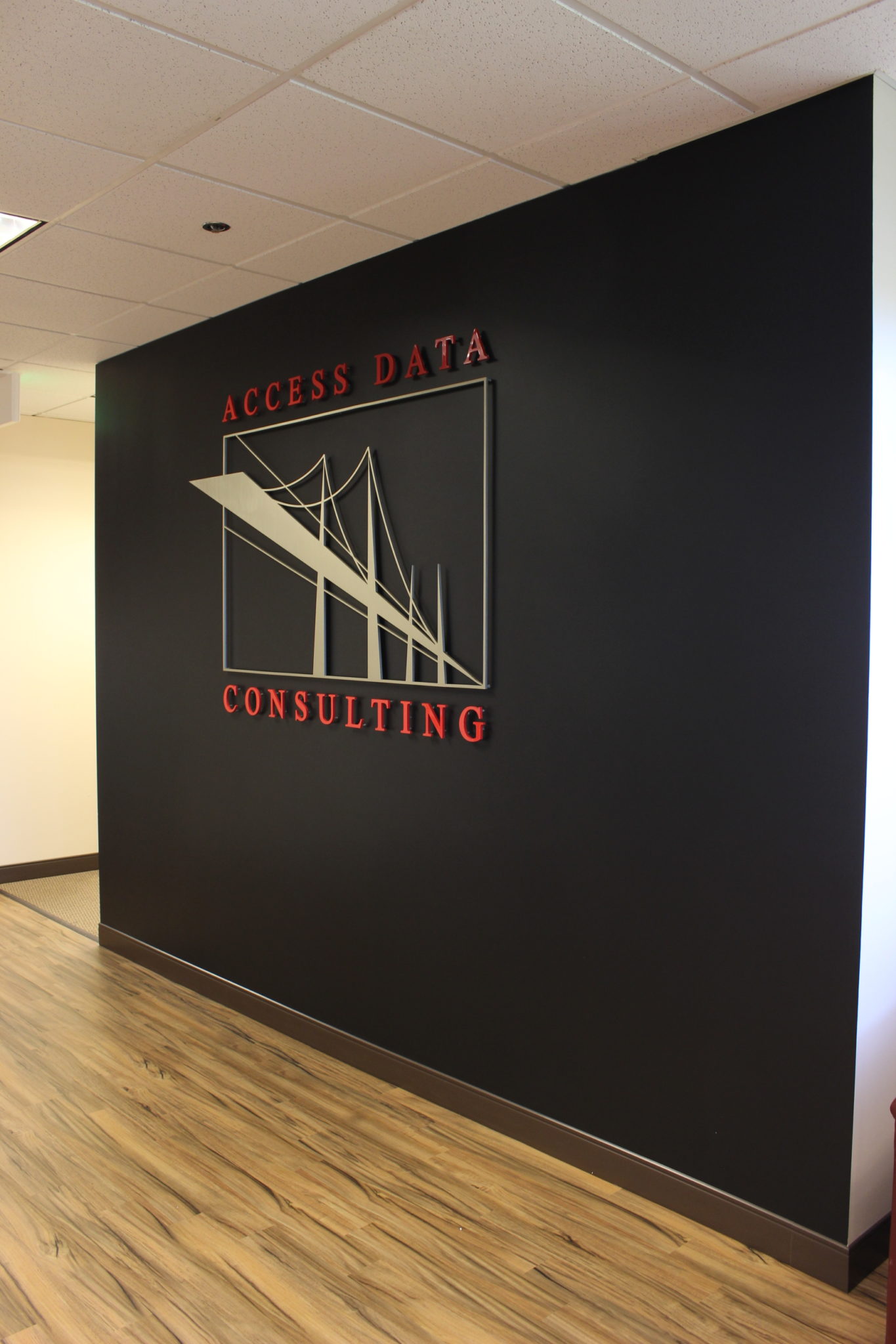 Access Data Consulting
